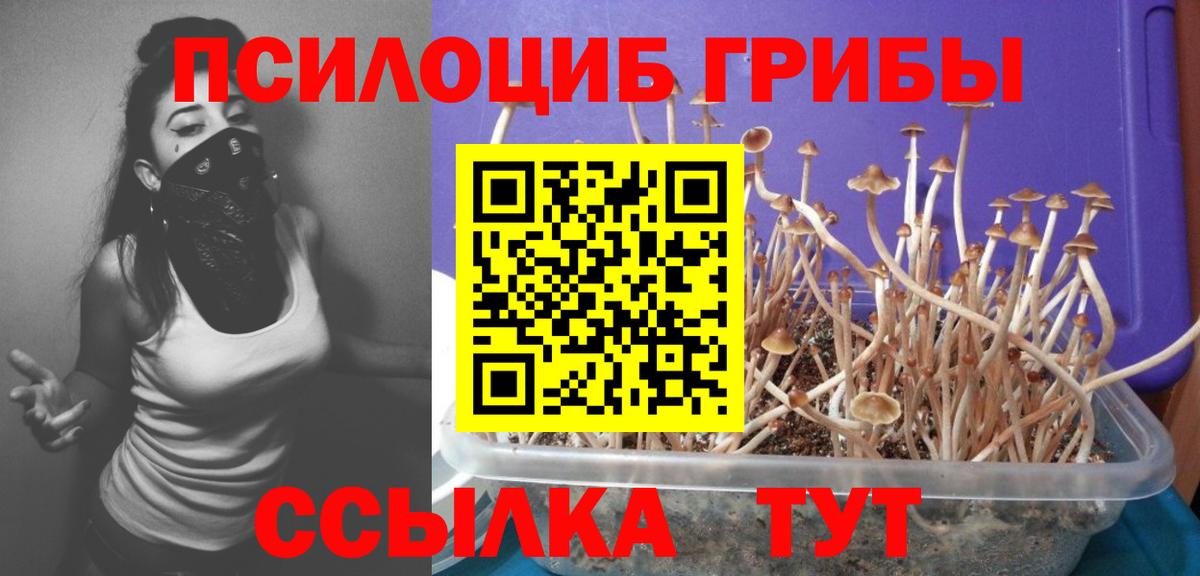 Псилоцибиновые грибы Psilocybe  Галлюциногенные грибы Psilocybine cubensis  Урай  Вход с VPN 